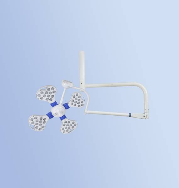 Medinain 4-Petals Single